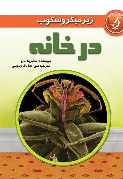 در خانه
